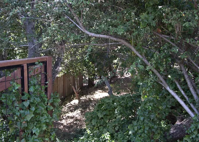 1801 Downing Avenue Lodge Hill