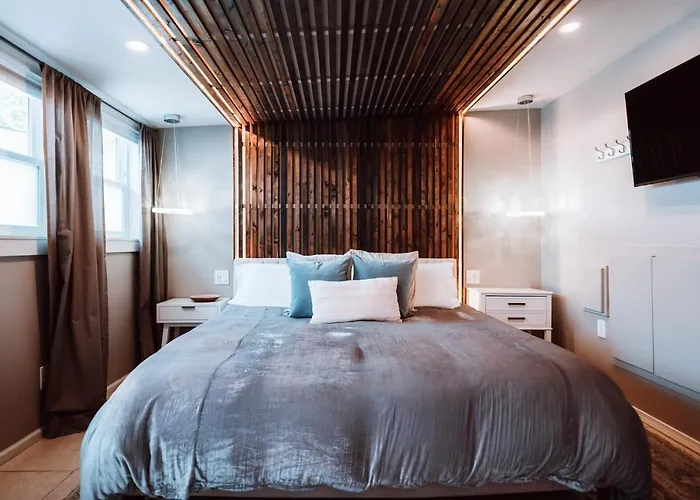 Swank House- Downtown Suite-Pet Friendly