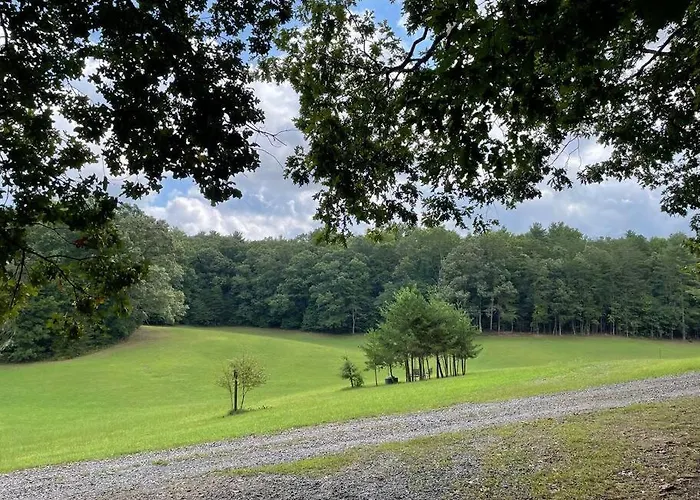 Private Cozy Cabin In The Woods With Great View