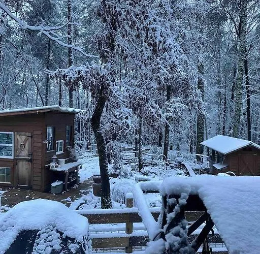Beautiful & Peaceful Cabin W/ Deck Garden & Fire-Pit