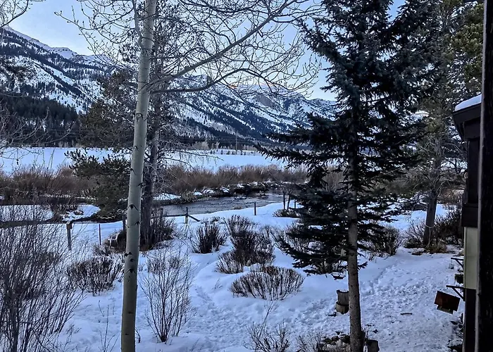 Moose Creek Lodge