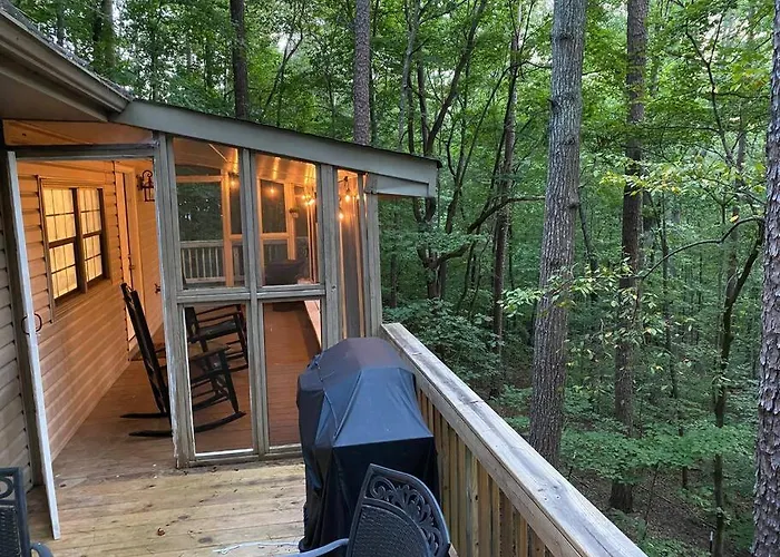 Gold Dust Delight - Cozy Cottage In The Woods