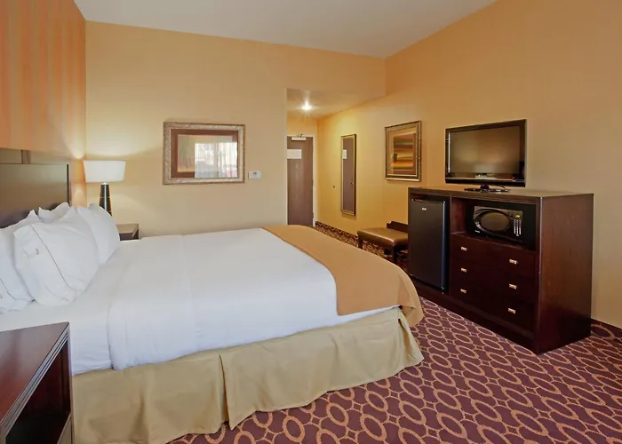 Holiday Inn Express & Suites Sacramento Ne Cal Expo By Ihg