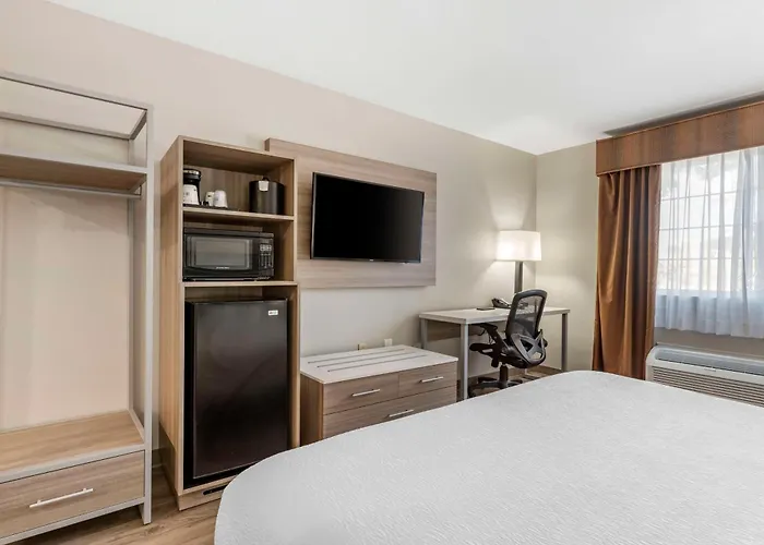 Best Western Plus Vineyard Inn