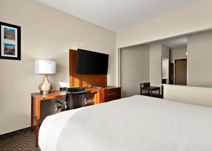 Comfort Suites University