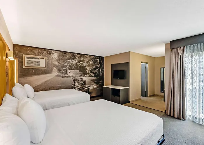 The Wander Hotel By Wyndham