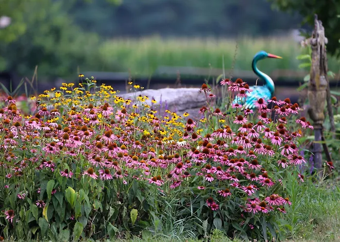 Pheasant Field Bed And Breakfast