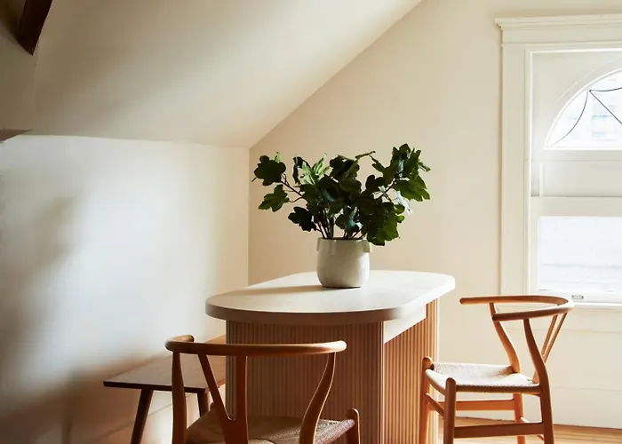 Cohouse New Haven Steps To Yale University