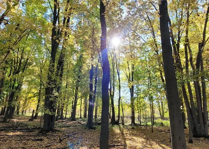 75 Acre Home With Trails & Outdoor Fun Tons Of Wildlife