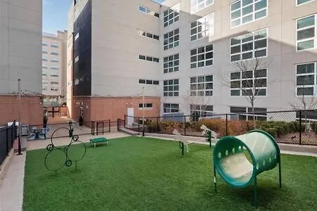 1 Bedroom Loft Near Central West End Walk To Bjc