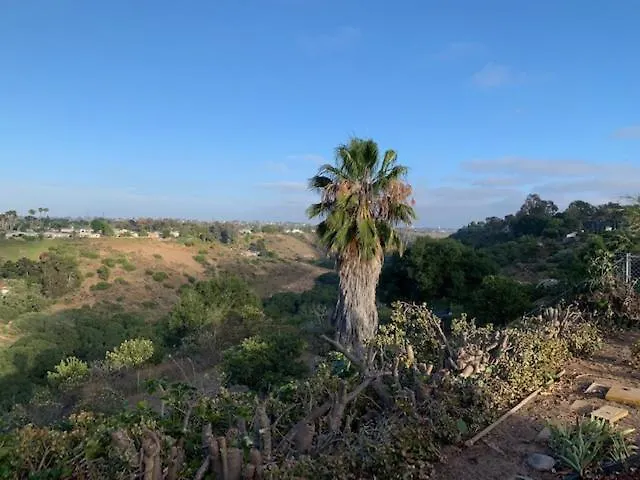 Canyon View Cutie