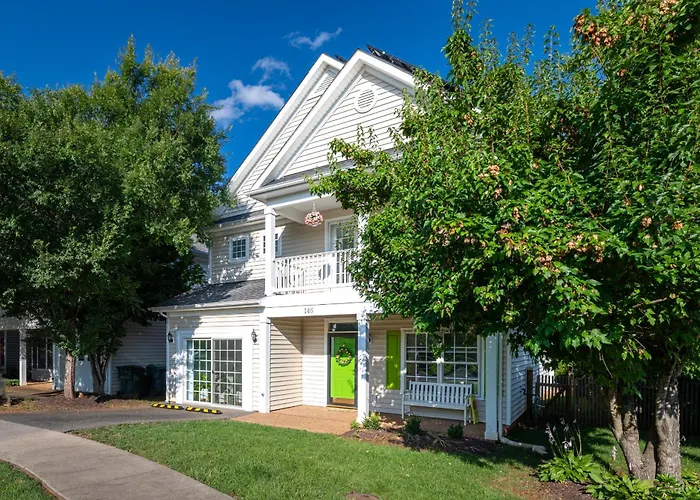 Belmont Oasis I Downtown Cville