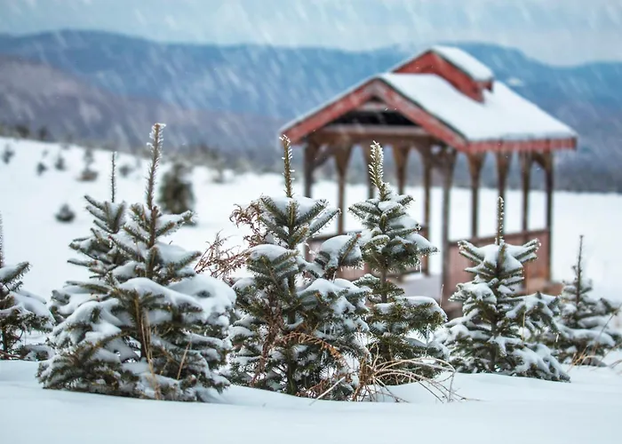 Cottage At Yankee Magazine "Best Of New England" W/ Trails, Gorgeous Views, Ac, Dog Friendly!