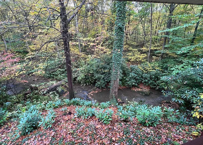 Bern'S Summit Solitude: Stream-Front Serenity