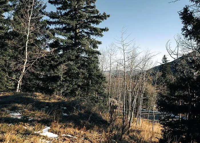 Modern A-Frame - Mountain Views - Evergreen