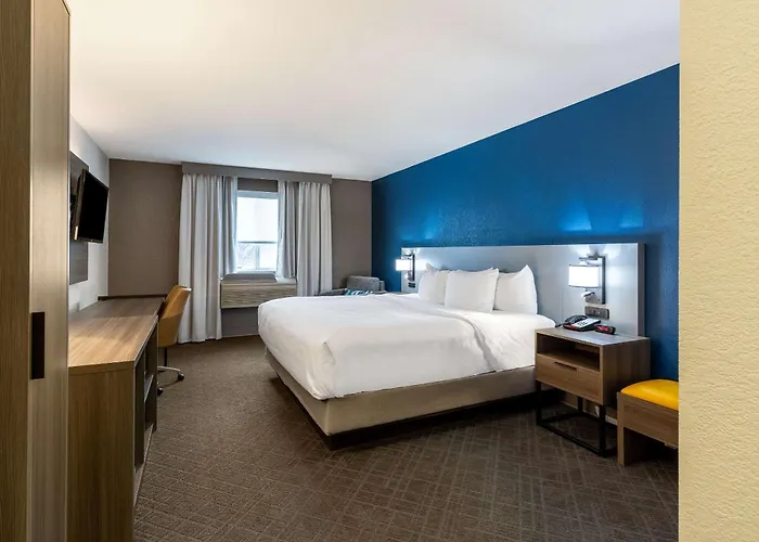 Comfort Inn & Suites Fremont