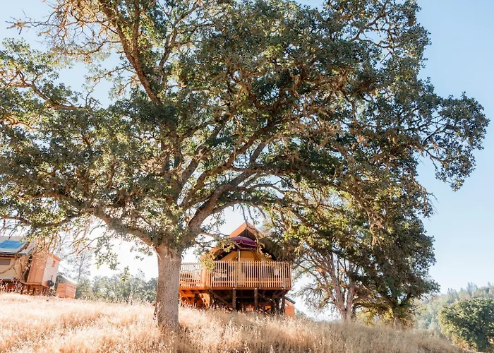Huttopia Wine Country - Northern California