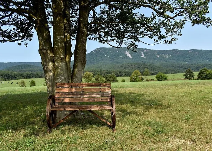 Holly Tree Retreat Located In Beautiful Luray, Va.