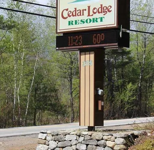 Cute Lower Level Cedar Lodge Room With Balcony & Lake Views!