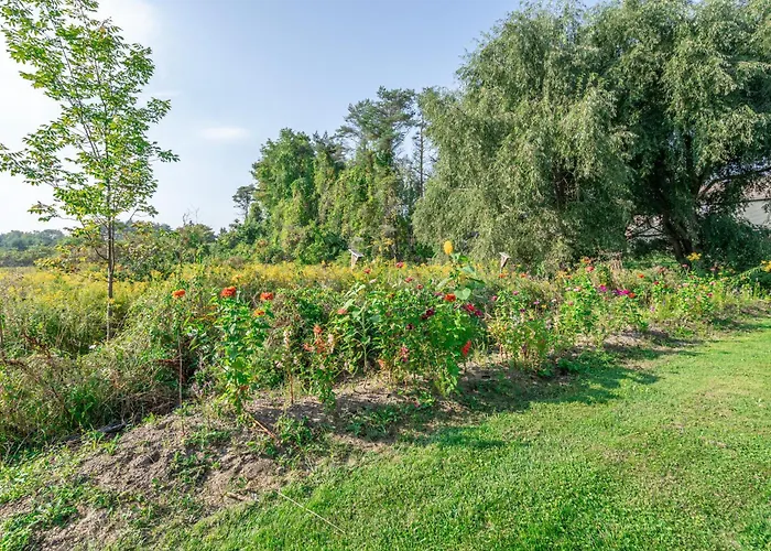 Saratoga Farmstead B&B