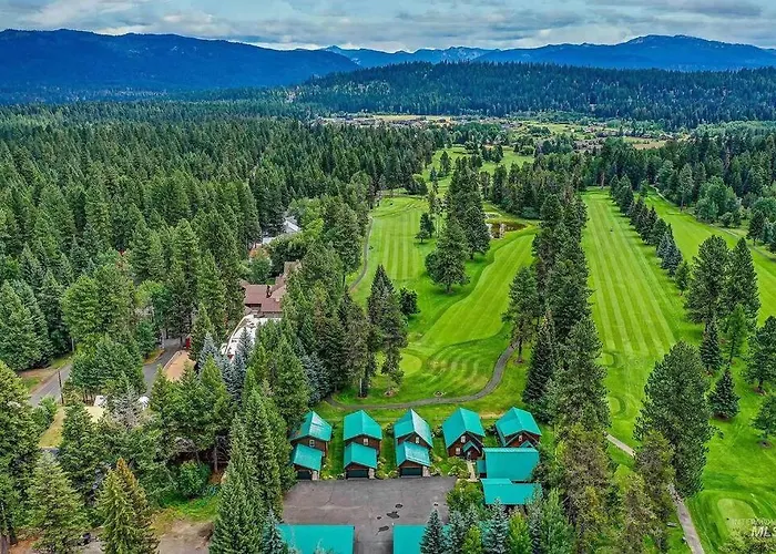 Ponderosa