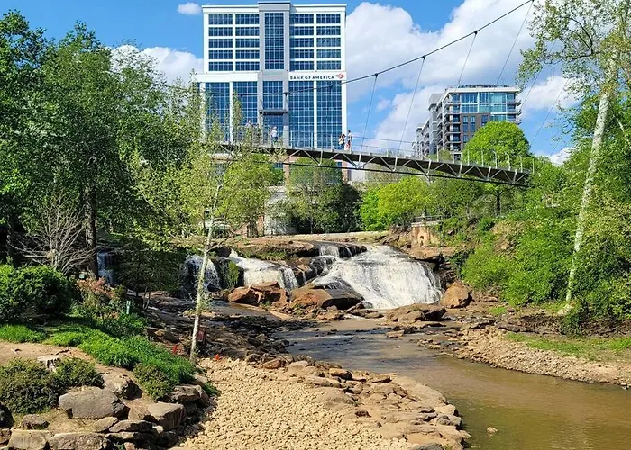 Cozy Swamp Rabbit - Sans Souci Greenville Furman