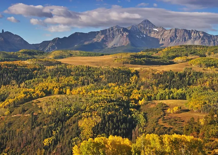 A Genuine Telluride Treasure