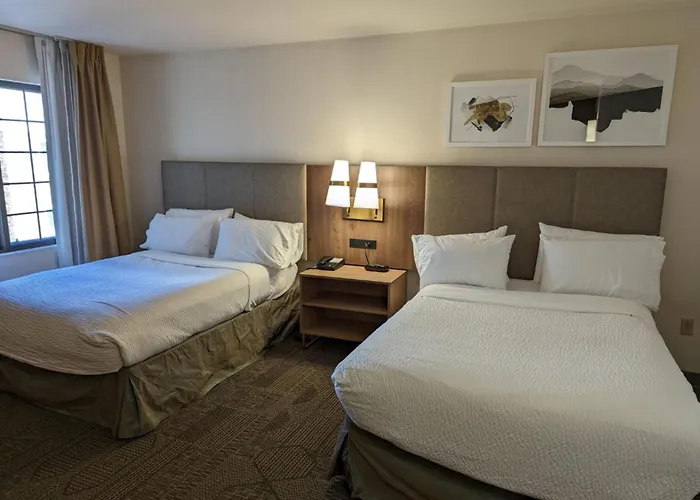 Staybridge Suites Allentown Airport Lehigh Valley By Ihg