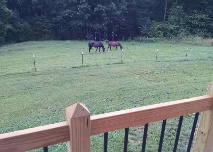 The Ranch In Mt Airy