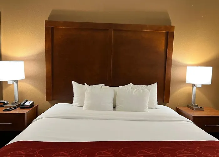 Comfort Suites Louisville East