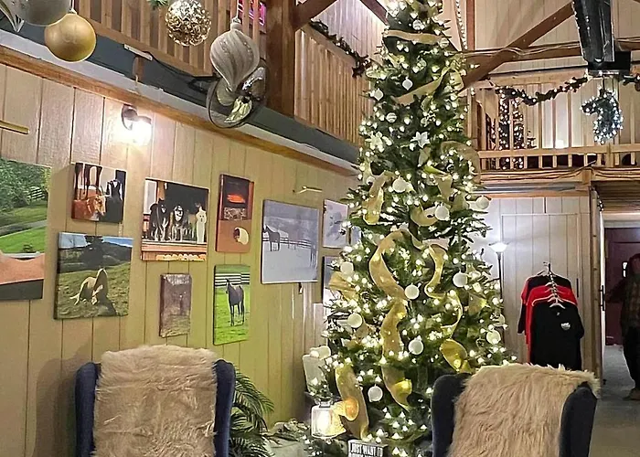 Nicura Ranch Inn & Stables