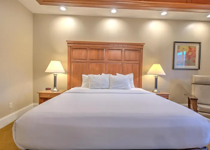 Berlin Resort