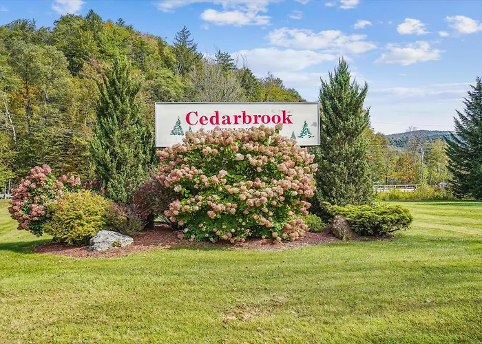 202 Cedarbrook One Bedroom Queen Suite