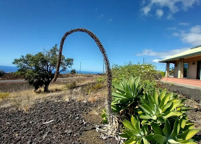 Ocean View Paradise!