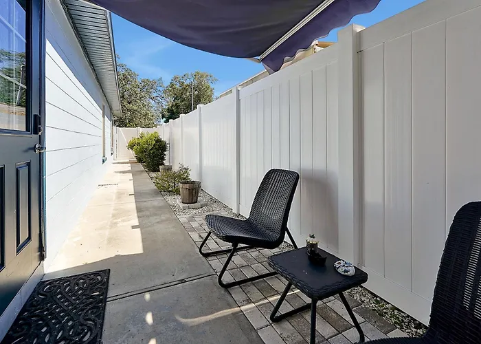 Modern Studio Near Busch Gardens Tampa