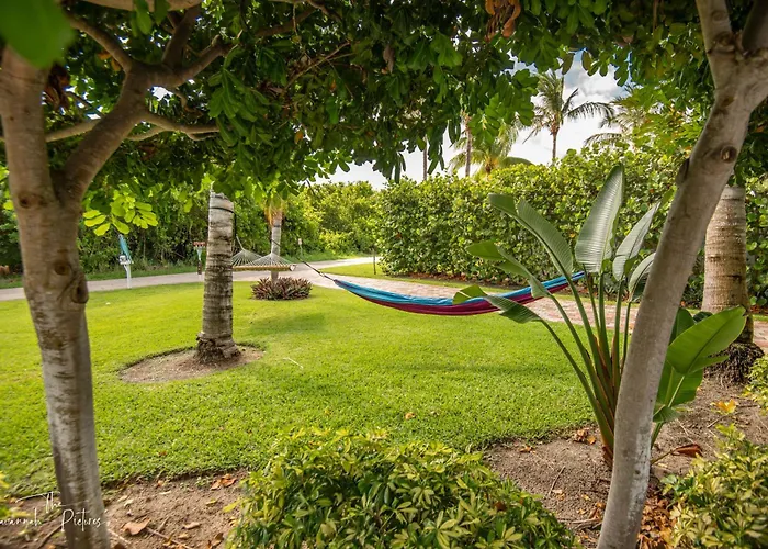 Elevated Ocean Views - 2 Bd - Walk To The Beach