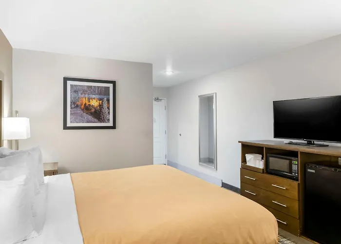 Quality Inn & Suites Carlsbad Caverns Area