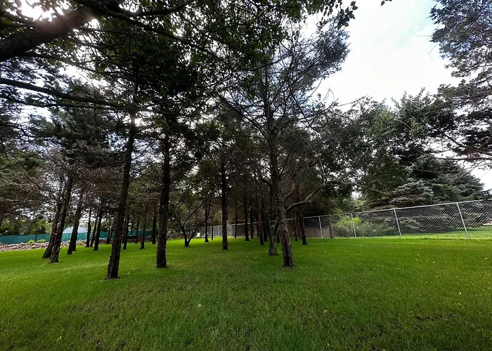 North Fork House For Rent
