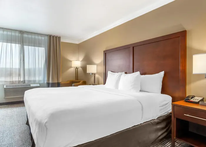 Comfort Inn & Suites Redwood Country