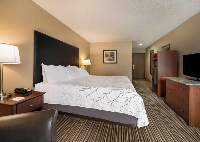 Best Western Park Oasis Inn