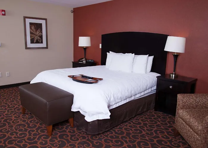 Hampton Inn & Suites Dickinson Nd