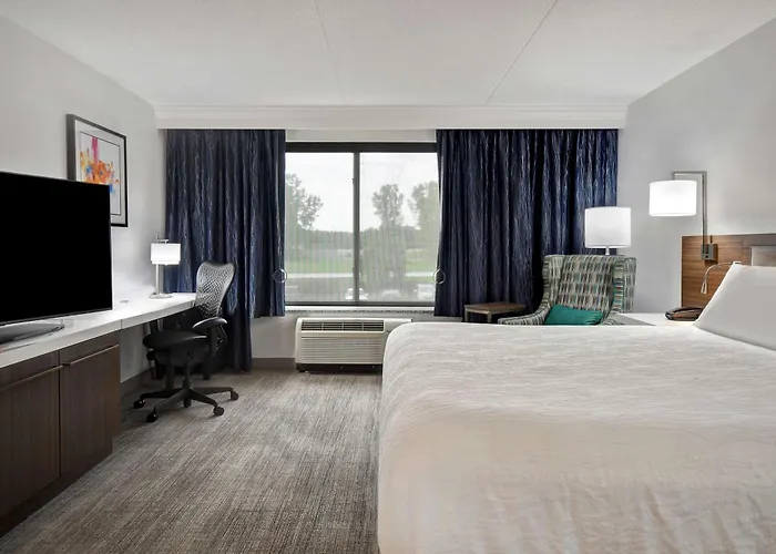 Hilton Garden Inn Detroit Metro Airport