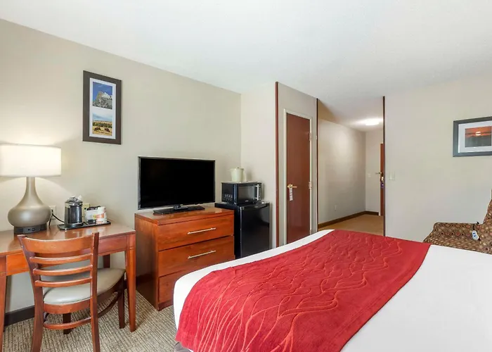 Comfort Inn & Suites Rapid City South - Mt Rushmore Gateway