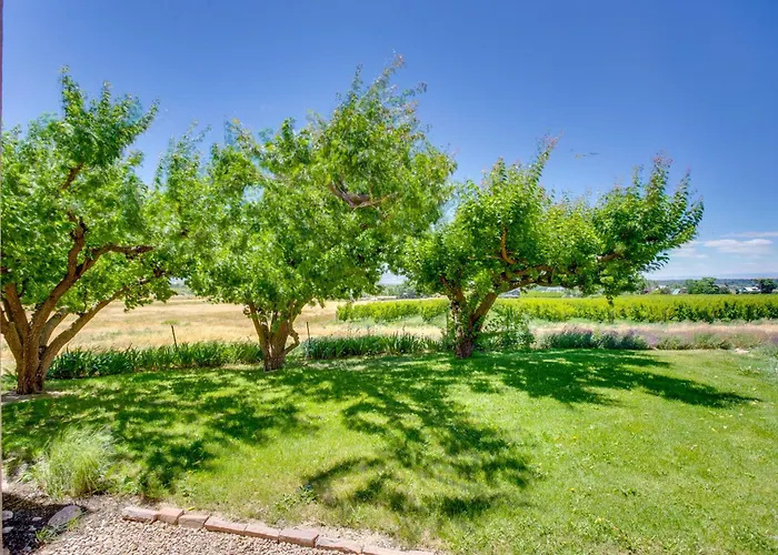 Hot Tub, Wineries, Mtn Views: Palisade Home!