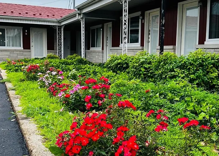 Murray Inn And Art Gallery