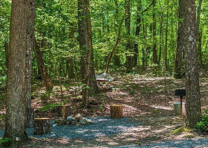 Coyote Cabin At Woodland Retreat At Desoto Beside Desoto State Park