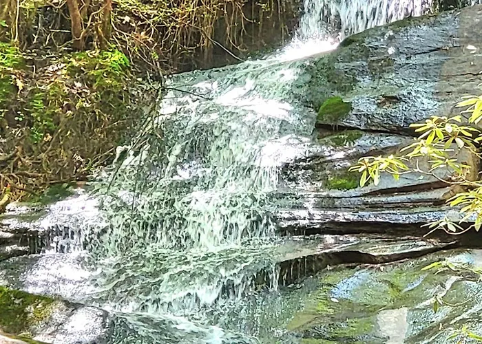 Luxury Cabin With Waterview And Privacy, Hiking