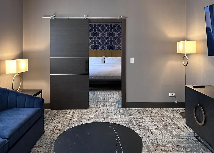 Springhill Suites By Marriott Chicago Chinatown
