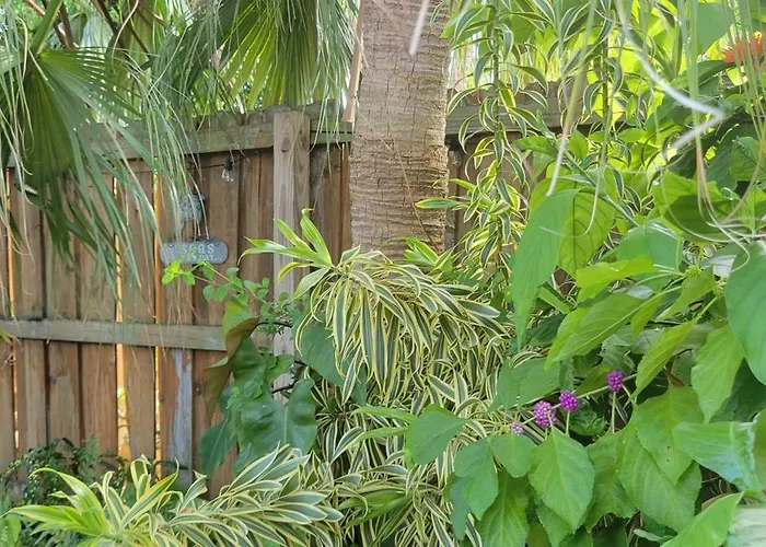 The Butterfly Cottage - Certified Butterfly Sanctuary - Ocean View Hot Tub - Authentic Keys Charm