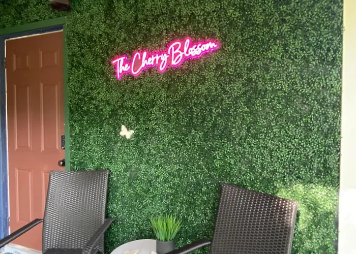 The Cherry Blossom